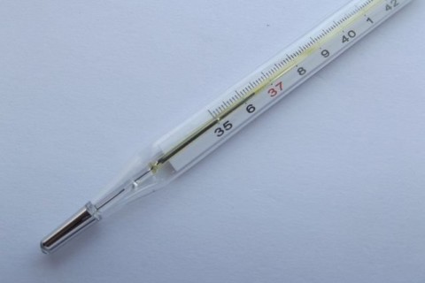 Flirt-Fever.de im Test