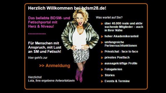 BDSM28 im Test
